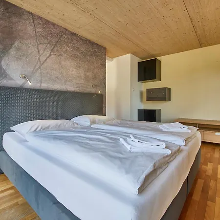 Penthouse Holleis דירה